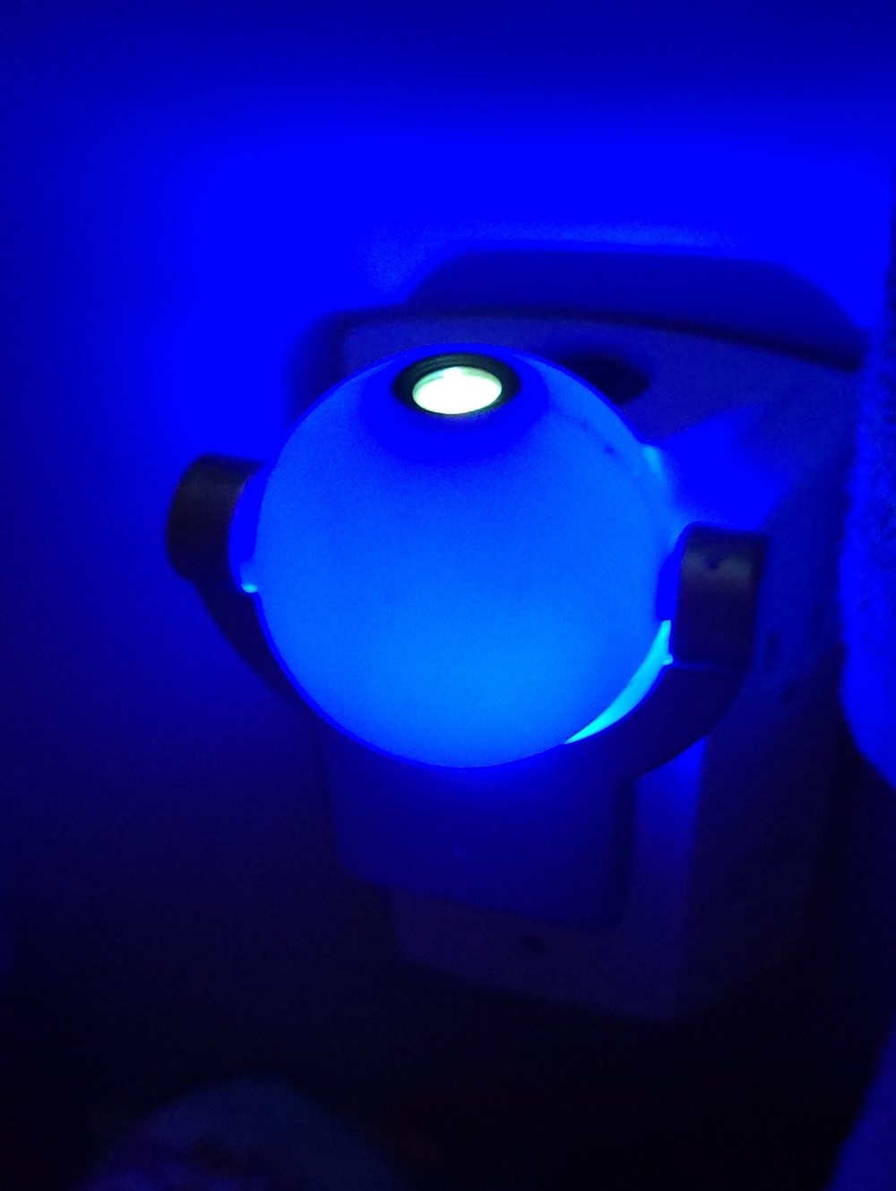Projectable Tropical Fish LED Night Light Plug-In